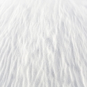 15304-White Sands #6