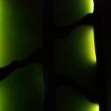 GraceM1