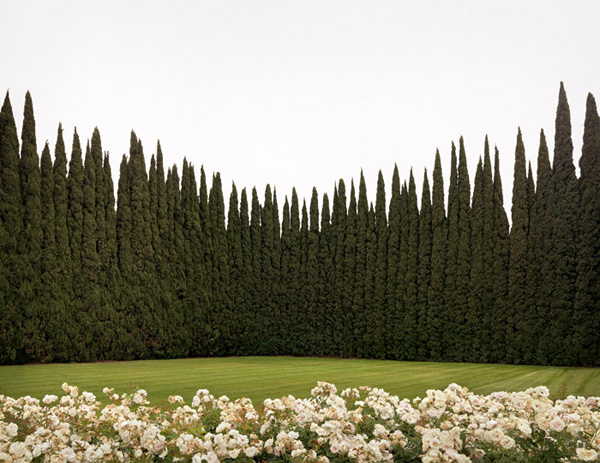 Brad Moore "Rose Room"
