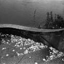 stanislavs5