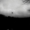 AlanHunter03