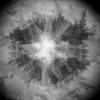 CoryD9