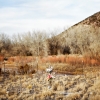 Nathan Larimer - Petaluma, California - Highway 285, Northern New Mexico, 2009