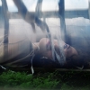 Yanina Boldyreva - Russia (Novosibirsk city) - from the series 