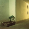 Dana Stirling - Israel - from the series color night