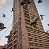 Alexandra Henry - New York & São Paulo - Sampa Birds