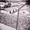 Alexander Diaz - St. Augustine, Fl - untitled