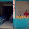 Anahita Avalos - Tabasco, Mexico - Vivas