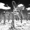 Jan Alejandro Smith Ramos - México D.F., México - Eleasis 13, Serie: Eleasis