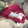 Kellie Cason O'Connor - Pueblo, Colorado - El Bebé de las Piedras (Baby of the Stones)