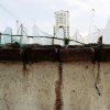 Lorena Endara - Panama - Abandoned lot #3