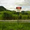 Lorena Endara - Panama - Field with unexploded ordinance