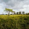 Lorena Endara - Panama - Construction site # 5