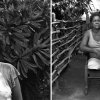 Robert Kalman - Brewster, NY - Fidelina Rojas