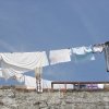 Rose Hunter - Puerto Vallarta, Mexico -  Laundry (puerto Vallarta).