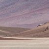 Stephen Strom - Sonoita, AZ - Volcanic landscape, west of Monjes de la Pacana (Pacana Monks), Atacama Desert, Chile
				