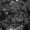 Thomas Locke Hobbs - Buenos Aires, Argentina - series: Ochava Solstice