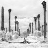 Jan Alejandro Smith Ramos - México D.F., México - Eleasis 15, Serie: Eleasis
