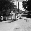 John Oliver Hodges - Brooklyn - Juitepec #1