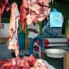 Juan Orrantia - Johannesburg, South Africa - The hand down of power when the head is removed, The Afterlife of coca dreams (Colombia)
