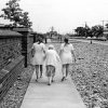 Donald Jones - Pleasant Ridge, Mi - Come Back Home