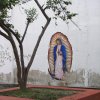 Rose Hunter - Mexico -  "Guadalupe." Bucerías, Nayarit.