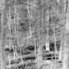Adela Holmes - Miami - Untitled