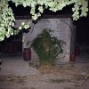 Ania Vouloudi - Rethymnon, Crete - Untitled2