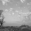 Bruce Morton - Bowen, IL - Dittmers