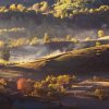 Cristina Tinta - Bucharest, Romania - Blessed morning 1