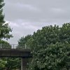 David Dunnico - Manchester, United Kingdom - Trees and motorway, Manchester