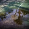 Dominic Bugatto - Toronto, Ontario - untitled