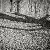 Dominic Bugatto - Toronto, Ontario - untitled