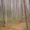 Eladio de las Cuevas - Madrid, Spain - Forest