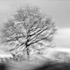 Frank Schubert - Frankfurt - Fast trips through the lonesome crowded west, Hunsrück, 2011