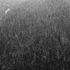 Jen Mitsuko - Portland, OR - The madness of the masses