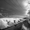 Jim Haberman - Chapel Hill, NC - Jordan River landscape