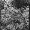 Katie Stretton - Midlands - 'The Interlands 1'