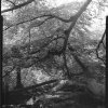 Katie Stretton - Midlands - 'The Interlands 3'