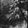 Katie Stretton - Midlands - 'The Interlands 5'