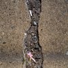 Kevin Karpinski - Brooklyn, New York