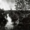 Lisa Elmaleh  - Brooklyn, NY - Water Trail