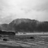 Maryanne Gobble - Redding, CA - untitled