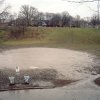 Nathan Cyprys - Toronto, Ontario - Trinity Bellwoods