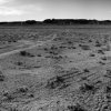 Richard Allen Ashmore - Orange, Texas - Shiprock, 2009