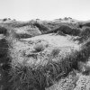Robert S. Harrison -  Lopez Island, Wa - Desert Barrier
