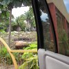 Rose Hunter - Puerto Vallarta - Window