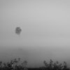 Shan Bhattacharya - Kolkata, India - Eluding Spaces