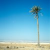 Benyamin Reich - Berlin - UNTITLED from the series Terra Sancta
