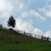 Cornel Popescu - Bucharest, Romania -  A windy day